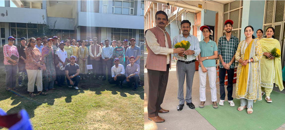 NSS Panjab University organized cleanliness and tree plantation drive with emphasis on "Clean India, Healthy India"